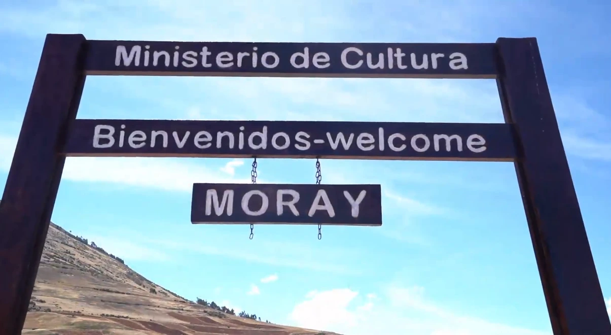 moray1