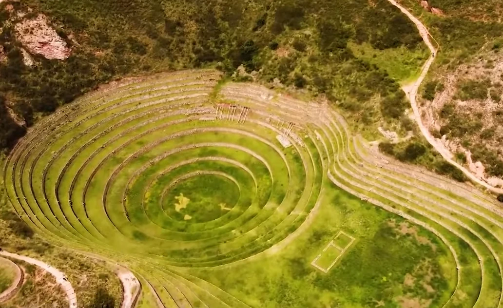 moray6