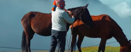 cabalgatas a caballo