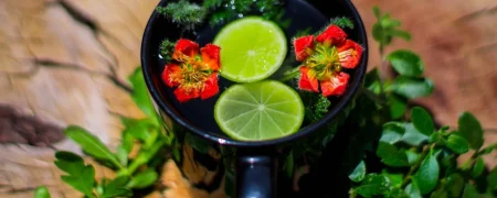 Infusión de plantas medicinales