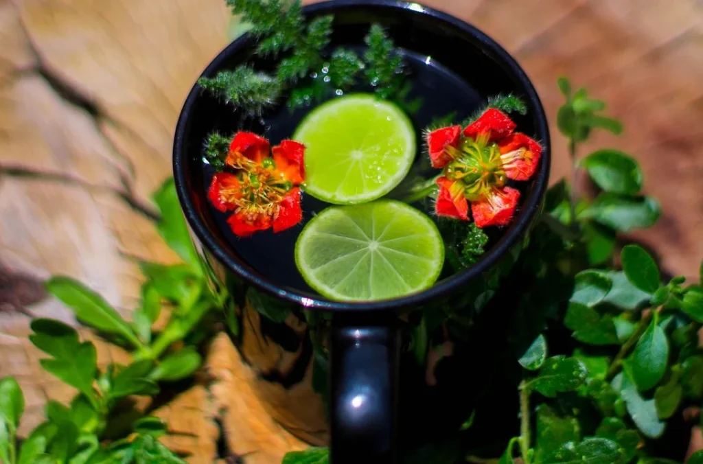 Infusión de plantas medicinales Infusión de plantas medicinales