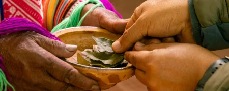 Hoja de coca